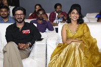 King Of Kotha Movie Pre Release Event Photos